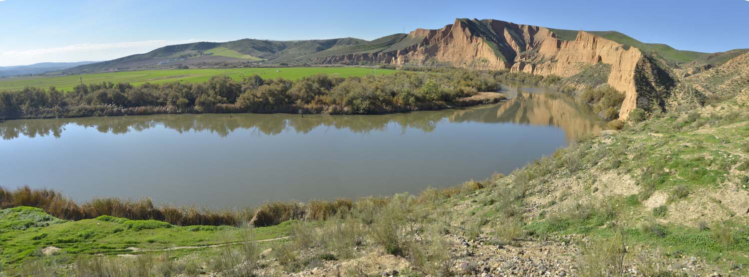 Barranca de Calaña