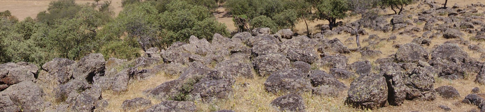 Volcán del Alhorín