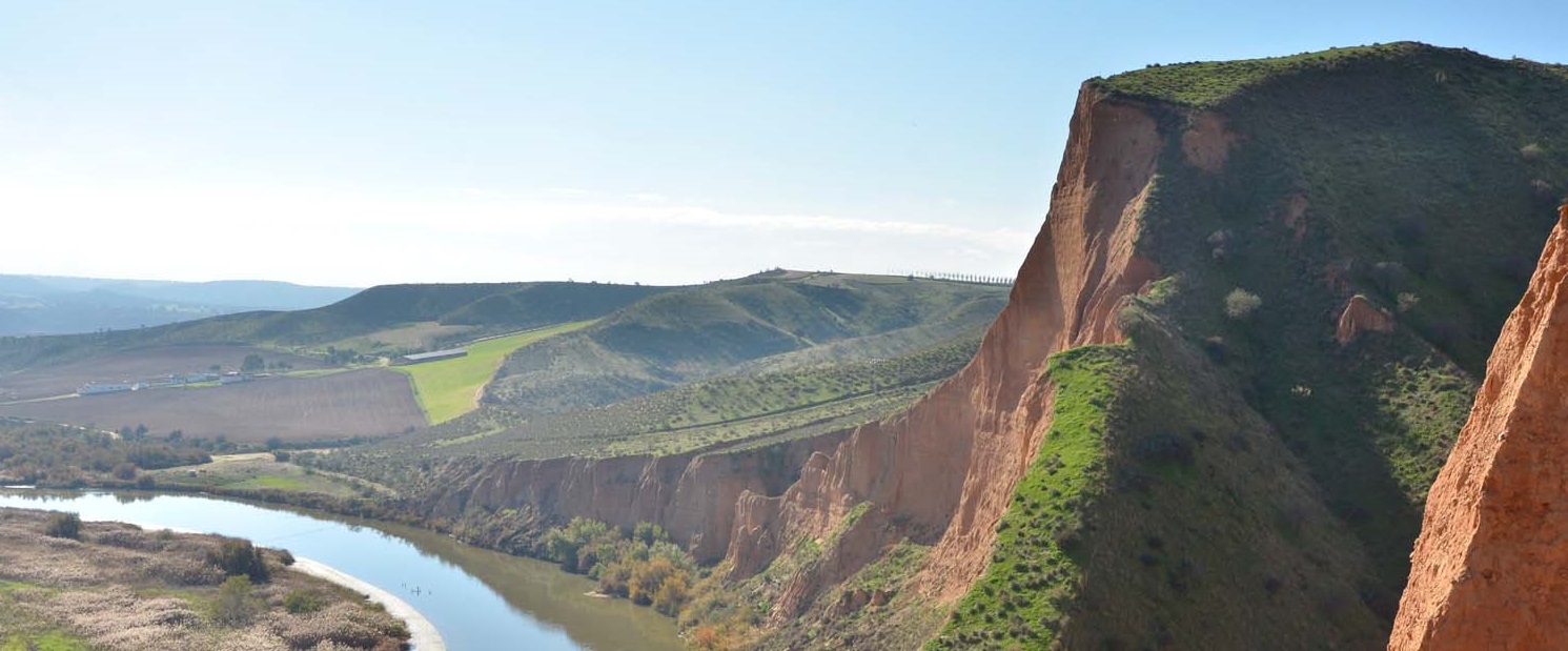 Barranca de Calaña