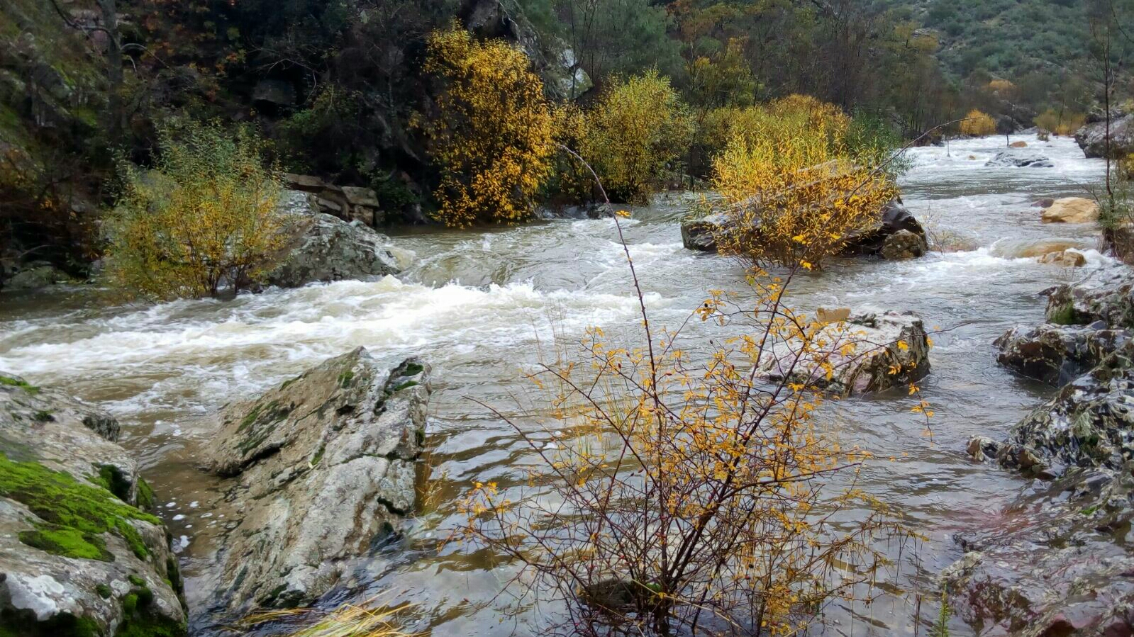 Paisaje fluvial Cabañeros