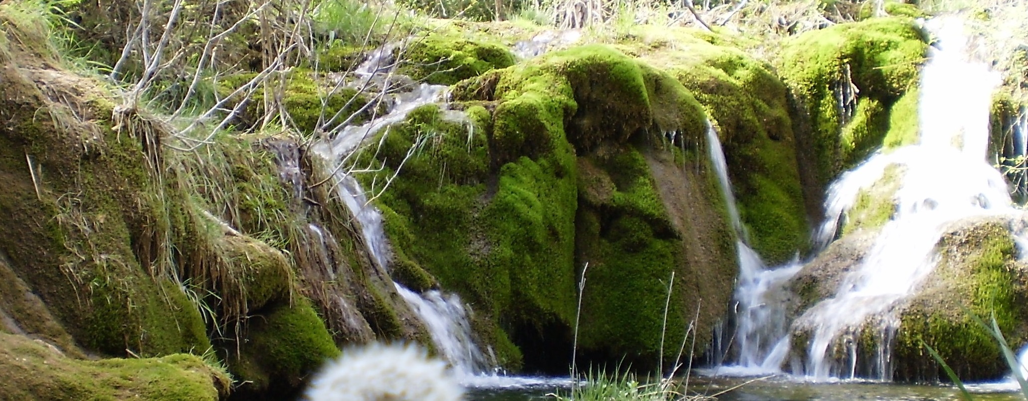 El río Cuervo fluye entre las tobas