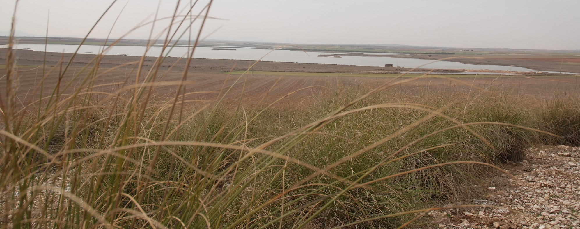 Panorámica de la Laguna de Peñahueca