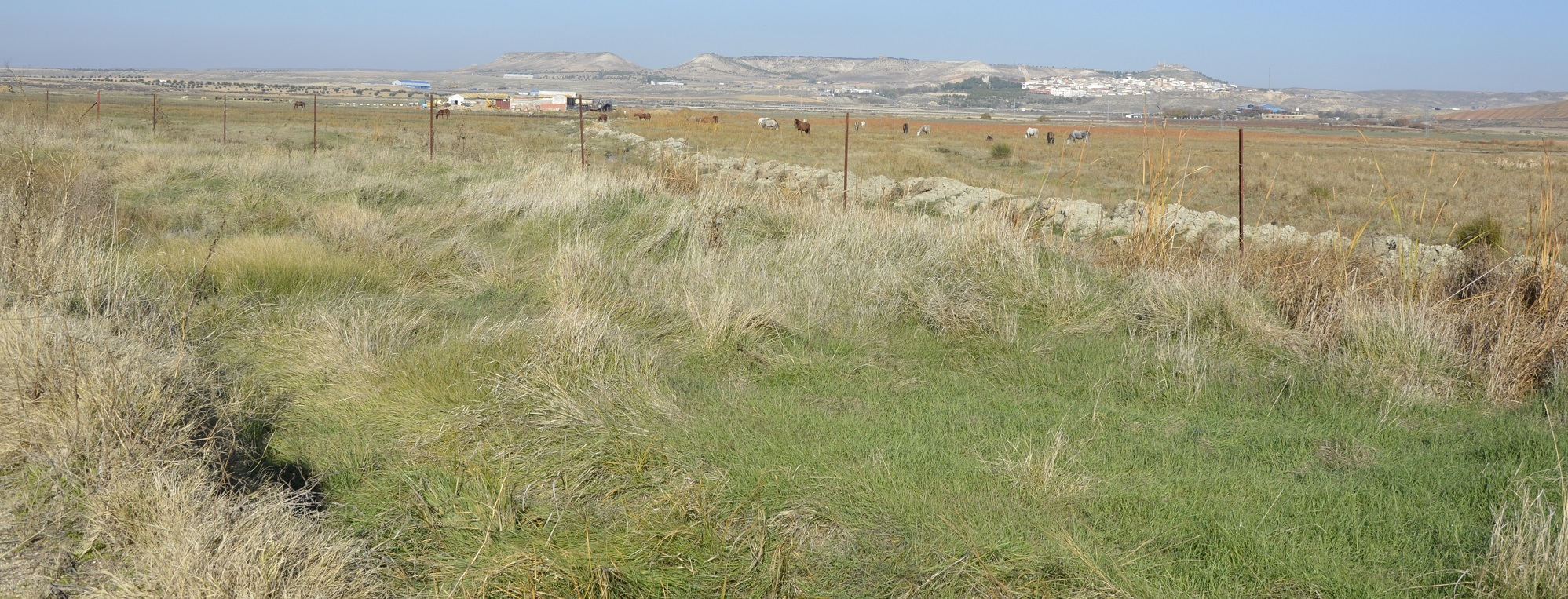 Panorámica del espacio