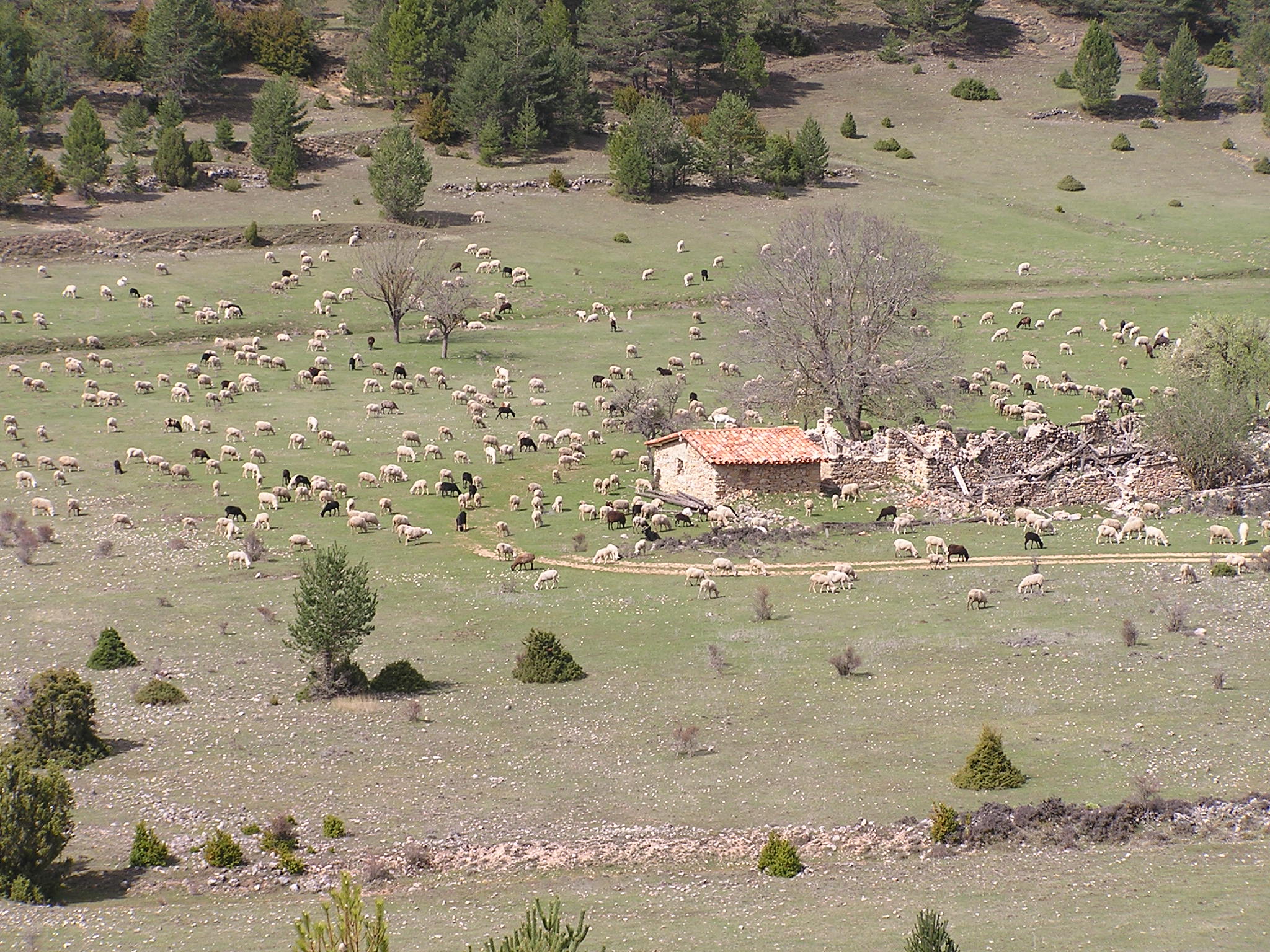 Rento de la Casa del Cura en Valdemeca