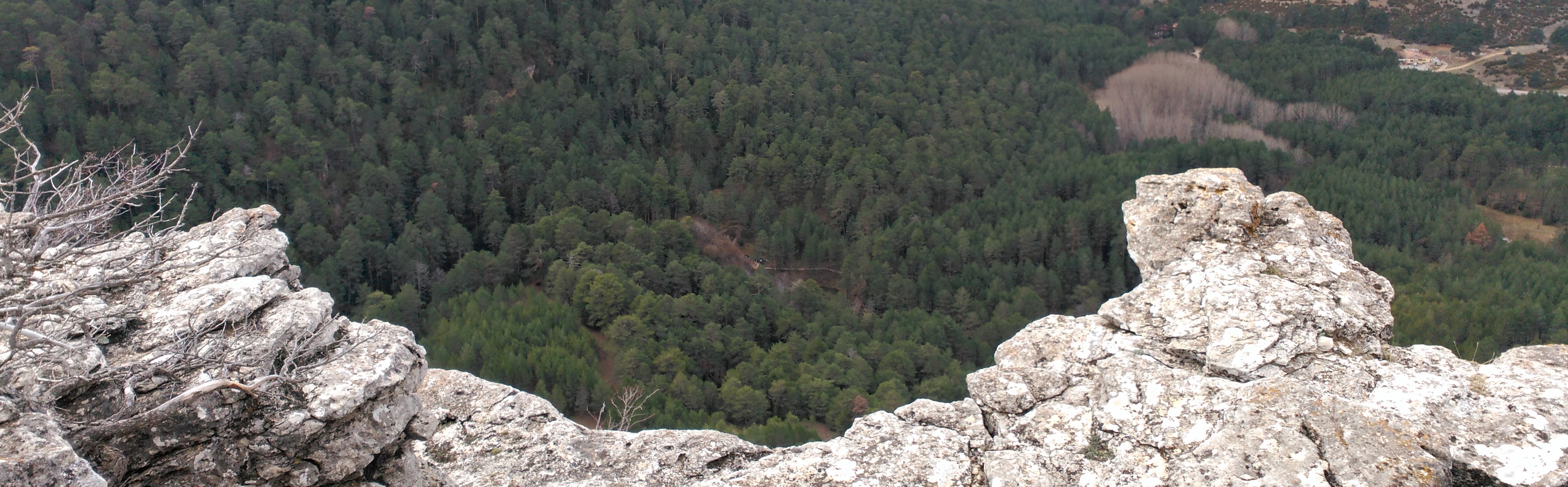 Desde el mirador en el sendero del pinar