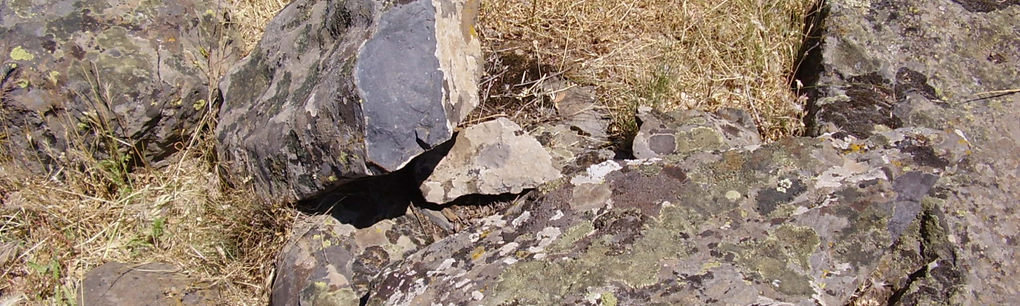 Volcán del Alhorín