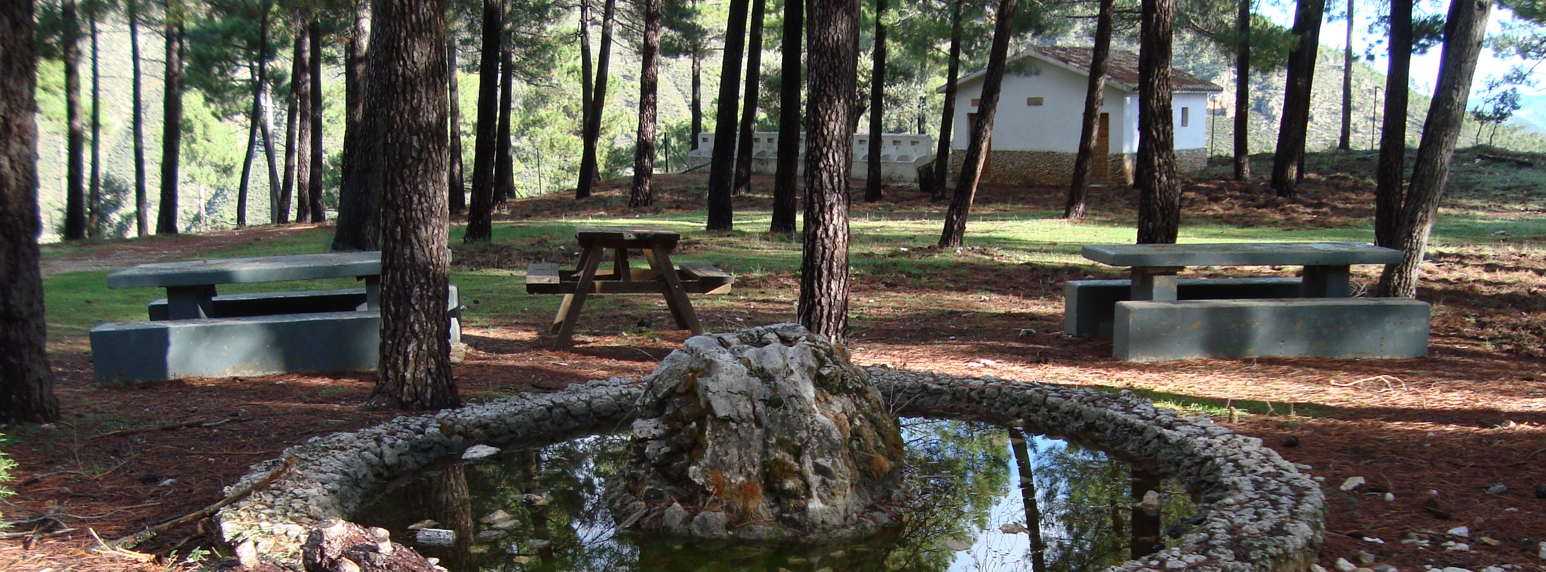 Zona de picnic