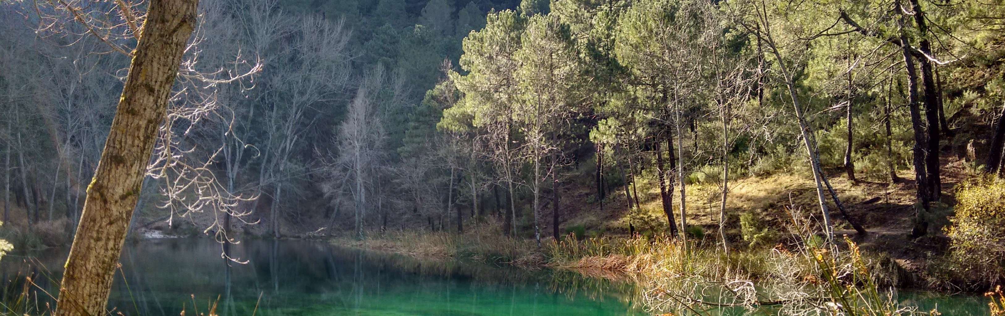 Para descansar y disfrutar de la belleza de la naturaleza