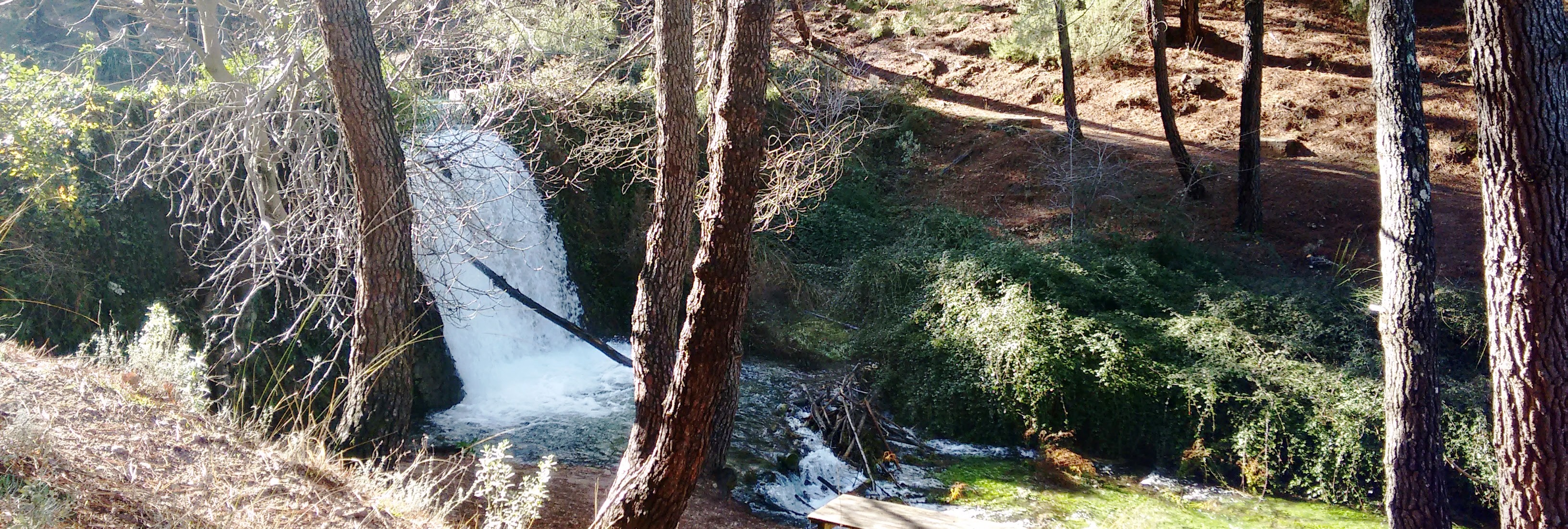 Antigua represa naturalizada