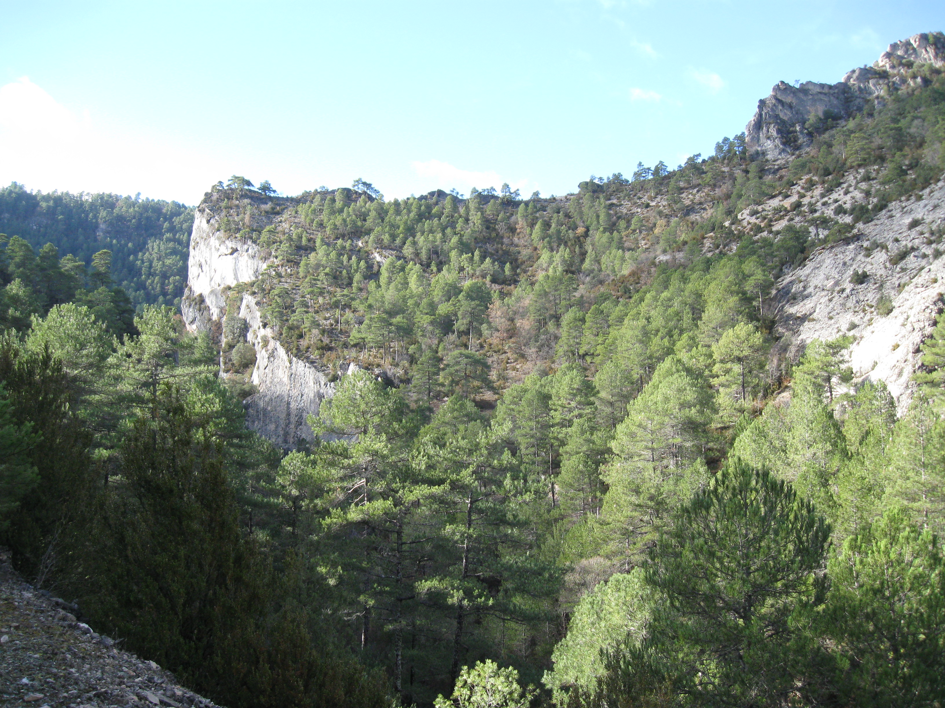 Area recreativa de Lagunillos. Valle del Río Escabas