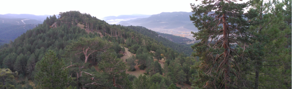 Panorámica desde el Cerro de San Felipe