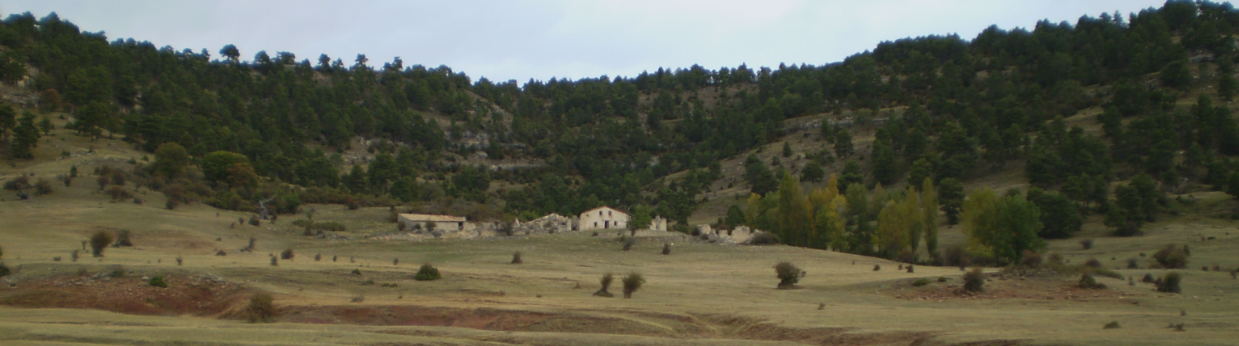 Casa de los Olmos