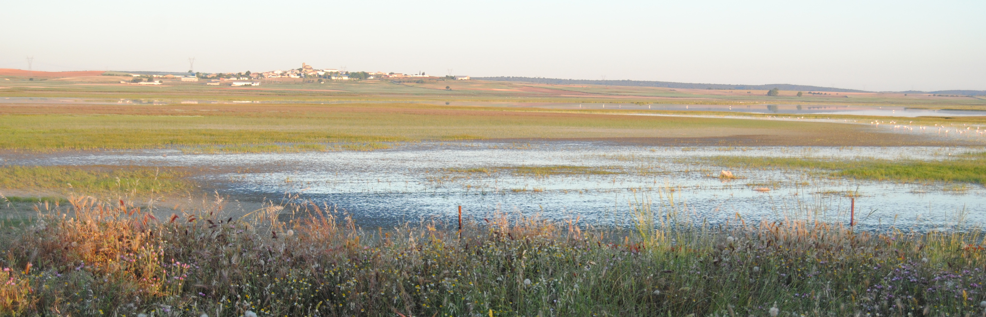 Laguna de El Hito