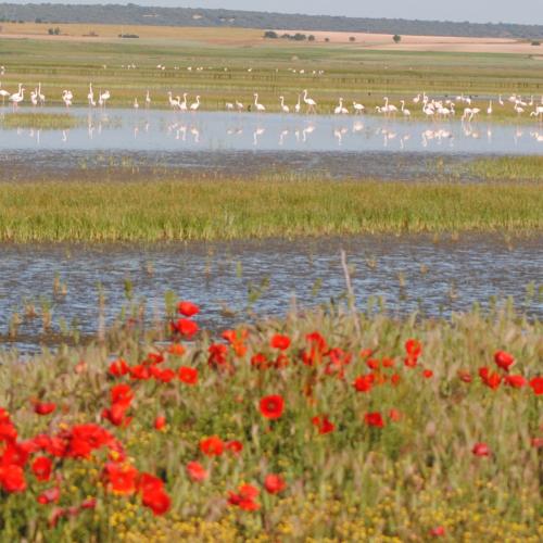 Laguna de El Hito en primavera