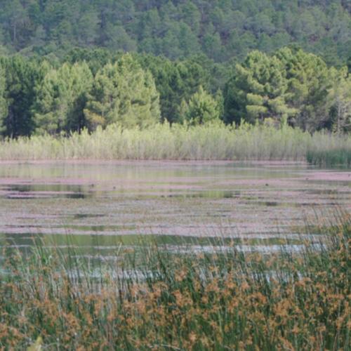 Laguna de Talayuelas a finales de la primavera