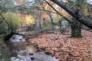 Paisaje fluvial Cabañeros