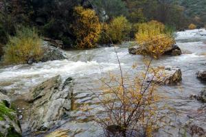 Paisaje fluvial Cabañeros