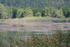 Laguna de Talayuelas a finales de la primavera