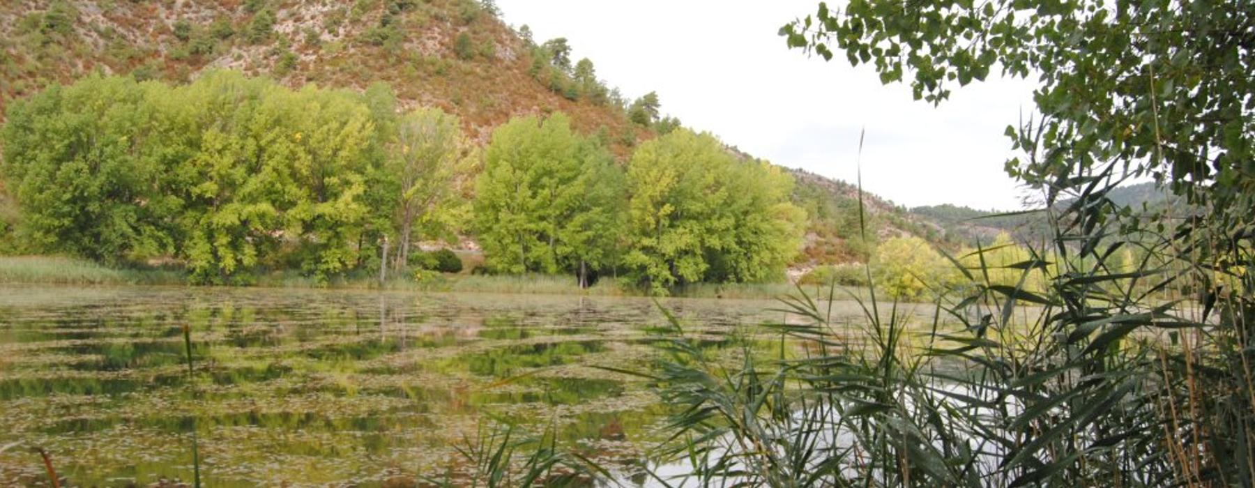 Vista de la laguna del Marquesado